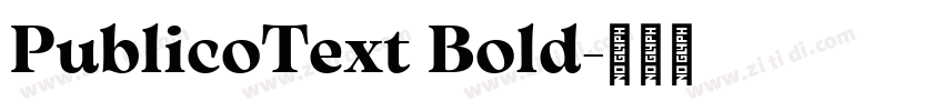 PublicoText Bold字体转换